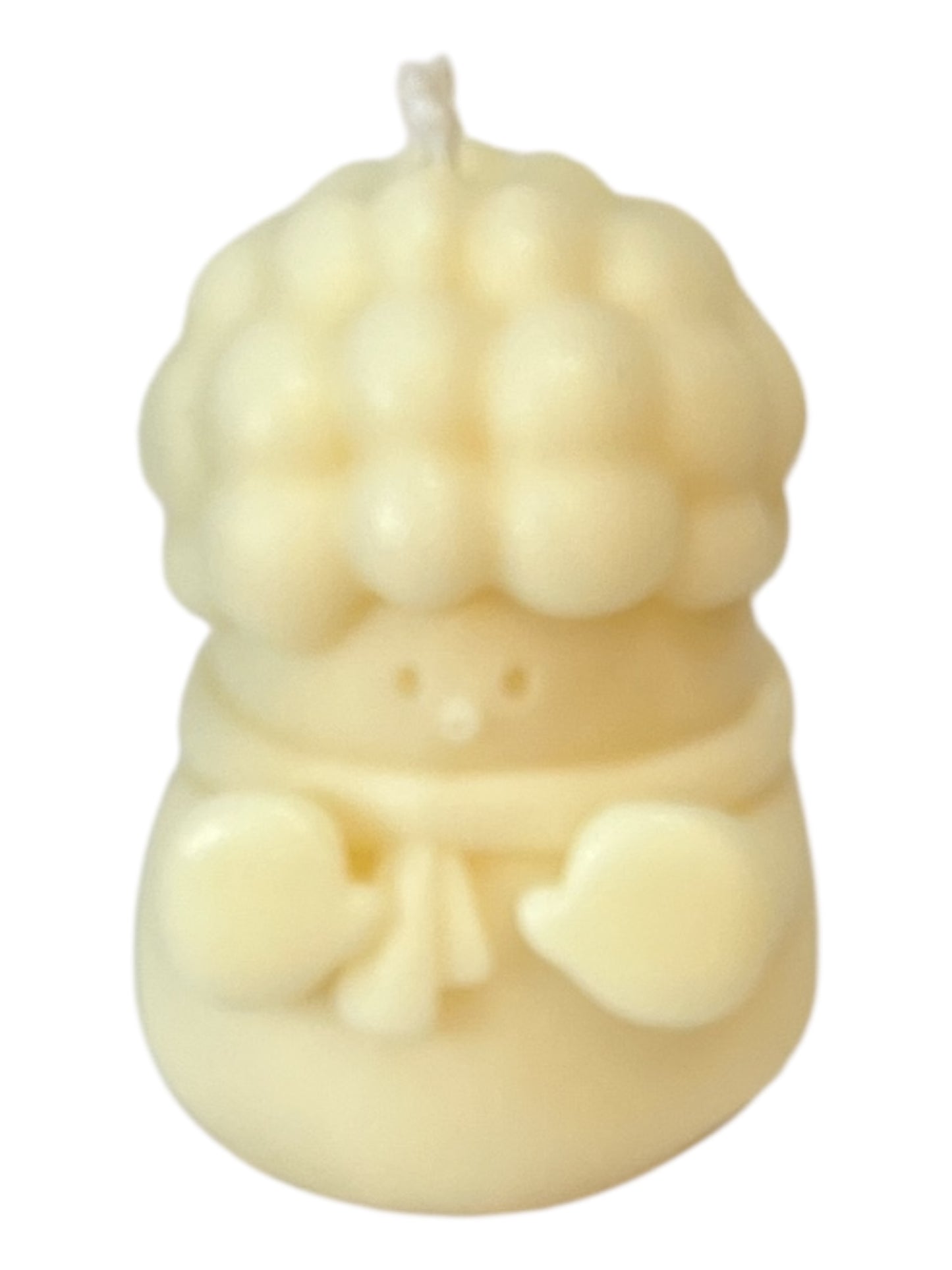Petit Lumière