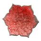 Kleine runde Kristallschale Rot