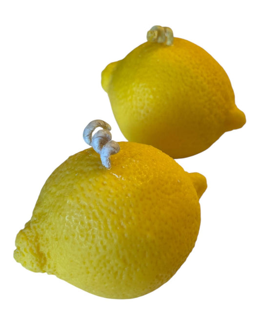Citrus Garden
