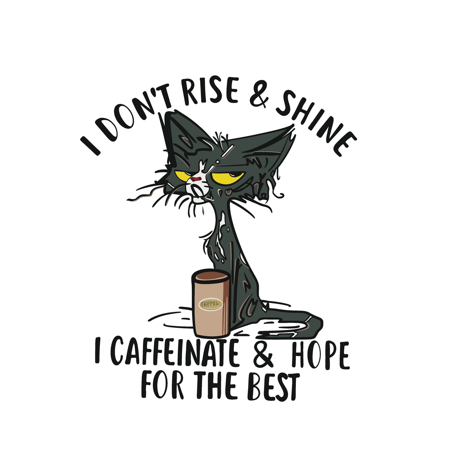 Katze